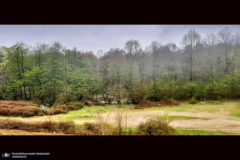 دریاچه آویدر نوشهر