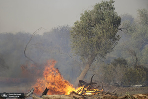 منتخب تصاویر امروز جهان - 2 خرداد 1401