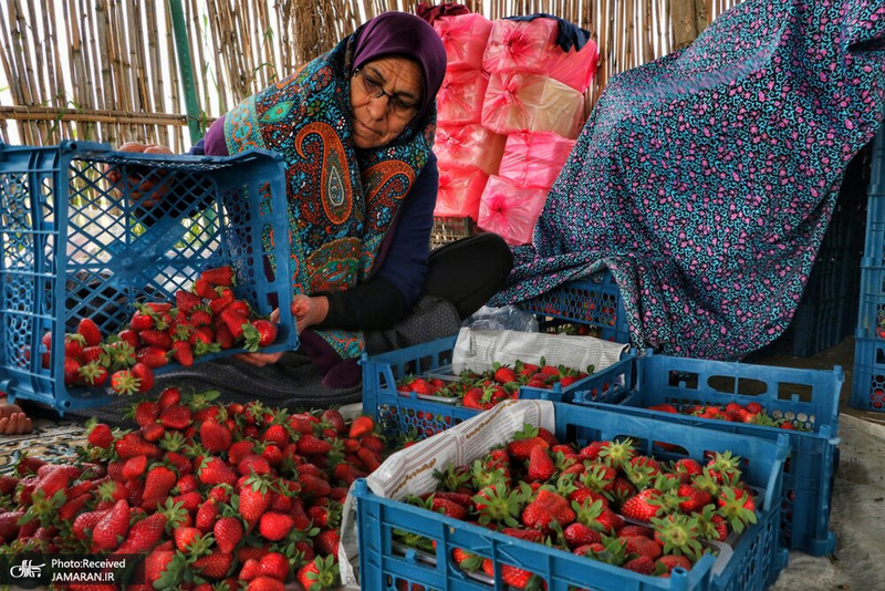 منتخب تصاویر امروز جهان- 4 اردیبهشت 1400