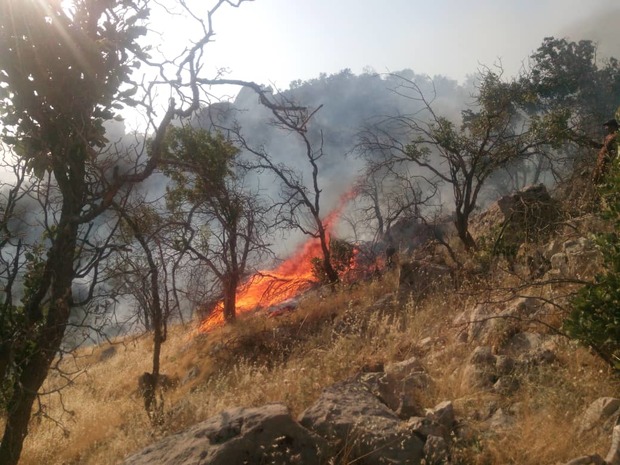 مهار آتش سوزی مراتع و جنگلهای "طسوج" چرام پس از یک شبانه روز تلاش+تصاویر