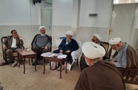 دیدار اعضای شورای سیاستگذاری همایش وکلای شرعی امام خمینی(س) با آیت‌الله دوستی زنجانی