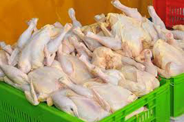 گوشت مرغ مورد نیاز ماه رمضان در چهارمحال وبختیاری ذخیره سازی شد