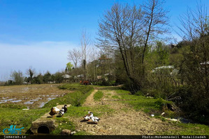 طبیعت رویایی ماسال گیلان