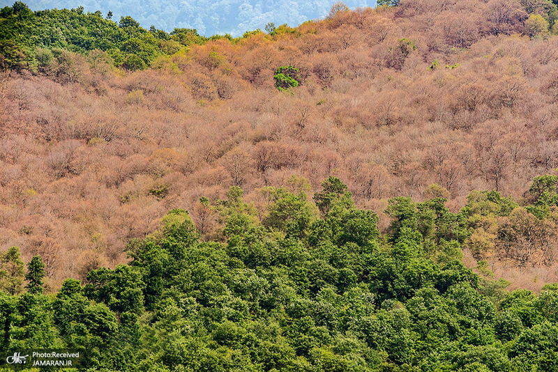 منتخب تصاویر امروز جهان- 10 تیر 1400