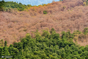 منتخب تصاویر امروز جهان- 10 تیر 1400