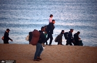 تصاویر جدید از بازگشت فلسطینی به شمال نوار غزه (7)