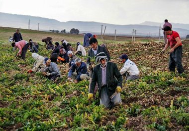 مدیر صندوق بیمه اجتماعی سمنان: 7 هزار سرپرست خانوار بیمه نیستند