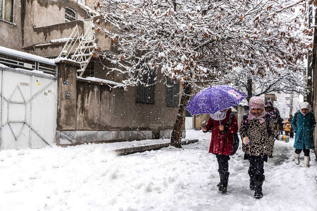 بارش برف مدارس ابتدایی شهرستان های بویراحمد و دنا را تعطیل کرد