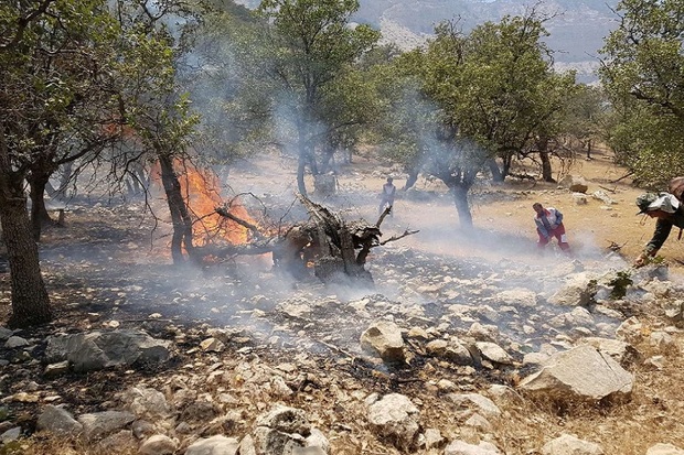 رشد علفزارها، زنگ خطر آغاز آتش سوزی ها