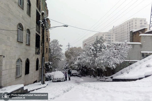 بارش برف پاییزی در برخی نقاط تهران - 25 آبان