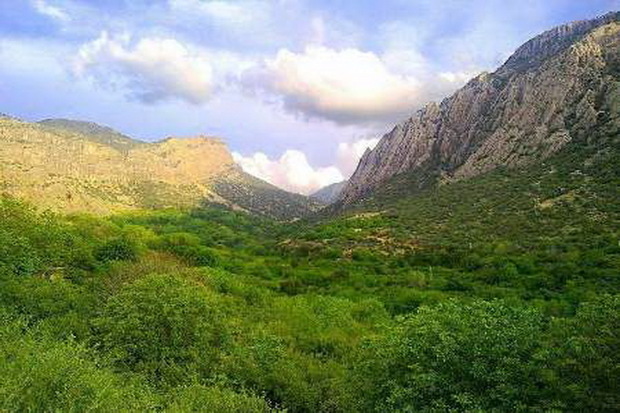 750 هکتار زمین ملی در نقده به بهره برداران واگذار شد