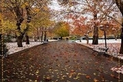 9 نقطه زیبای تهران برای پیاده روی پاییزی