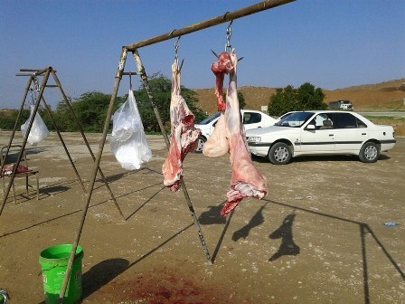 ساماندهی 83 مرکز غیر مجاز عرضه دام و طیور در ایوان   پلمب پنج انبار توزیع مرغ زنده