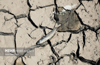 خشکی سد اکتابان (13)