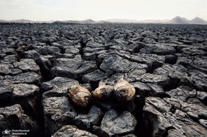 منتخب تصاویر امروز جهان- 12 تیر 1400