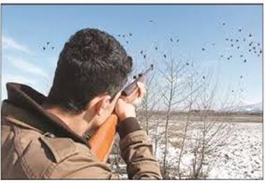 دستگیری 2 شکارچی غیر مجاز در کوه های البرز