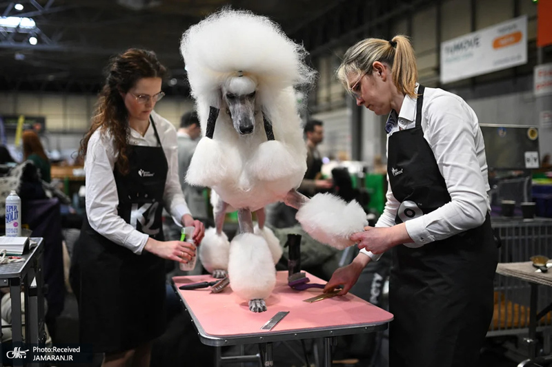 منتخب تصاویر امروز جهان - 17 و 18 اسفند 1403