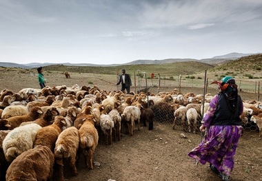 اشتغال روستایی و تعلل بانک ها در پرداخت تسهیلات