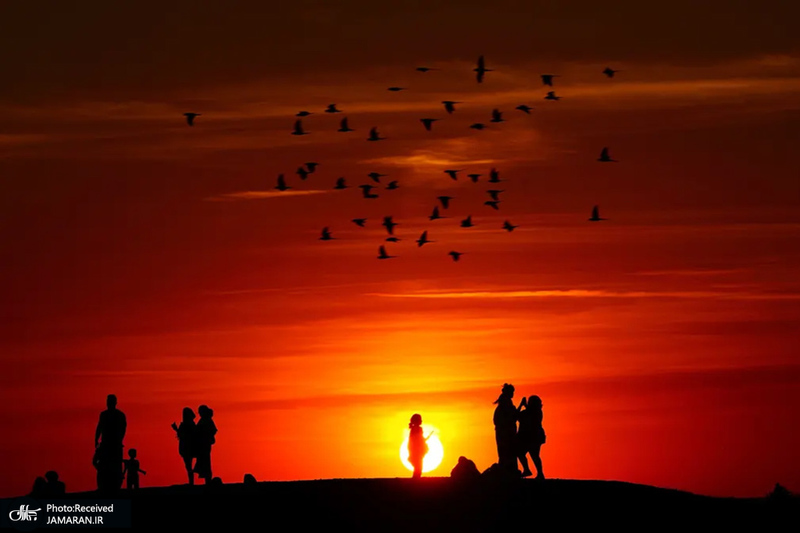 منتخب تصاویر امروز جهان - 20 مرداد 1401