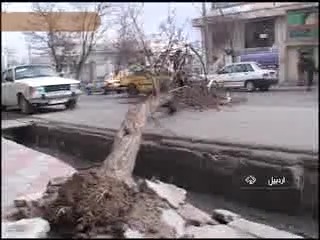 تندباد در تهران از بعدازظهر/ بارش باران طی 5 روز آینده