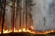 عکس/ آتش سوزی گسترده در جنگل های سوئد
