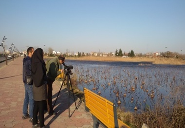 سرشماری زمستانه پرندگان در لنگرود انجام شد