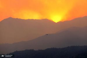 منتخب تصاویر امروز جهان- 14 تیر 1400