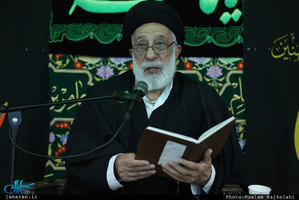 سید هادی خامنه ای