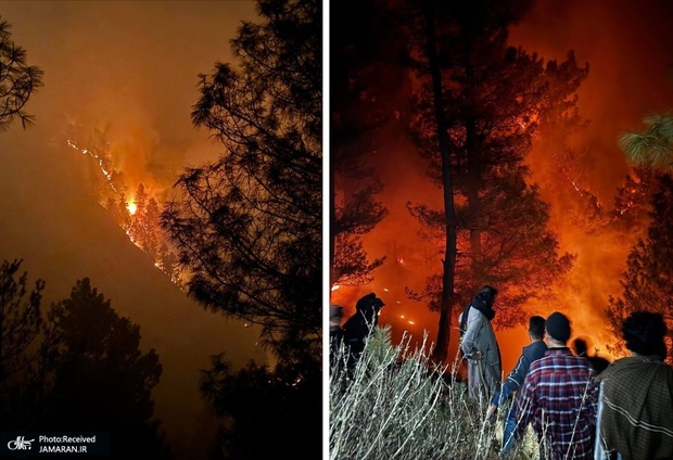 آتش سوزی گسترده جنگل ها در جنوب کشمیر هند + عکس و فیلم