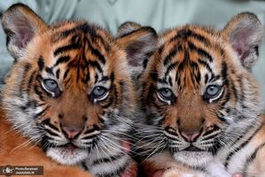 منتخب تصاویر امروز جهان- 8 مرداد 1400