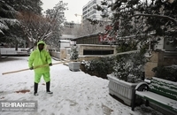 بهترین عکس ها از روز برفی تهران (16)