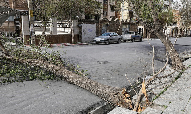 دستگاه های عضو مدیریت بحران گلستان در آماده باش هستند