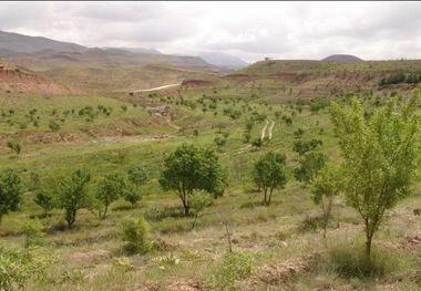 2500 هکتار موقوفه در خوی سنددار شد