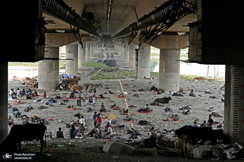 منتخب تصاویر امروز جهان - 22 اردیبهشت 1401