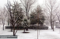 بارش برف در برخی نقاط تهران + عکس