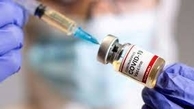 آمار واکسیناسیون کرونا در آذربایجان غربی به 90 درصد رسید