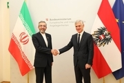 رایزنی علی باقری با وزیر خارجه اتریش درباره مذاکرات و تقویت مناسبات دوجانبه