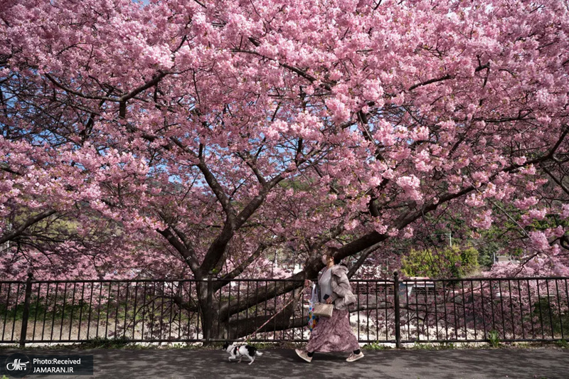 منتخب تصاویر امروز جهان - 2 اسفند 1401