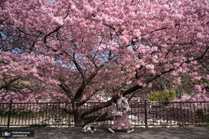 منتخب تصاویر امروز جهان - 2 اسفند 1401