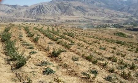 پروژه بین المللی ترسیب کربن، تحقق اقتصاد مقاومتی در روستاهای گلستان