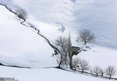 بارش پراکنده برف در شمال تهران پیش‌بینی می‌شود