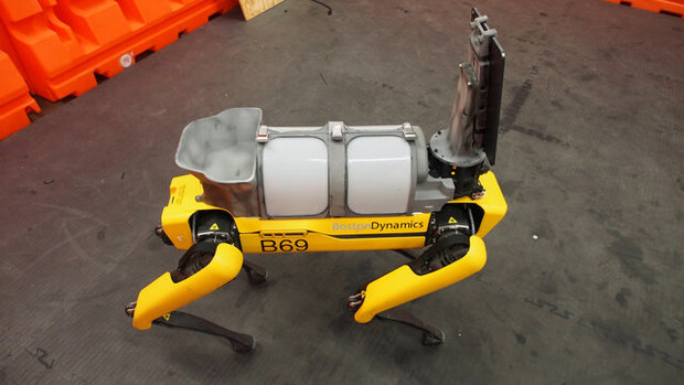 کمک سگ‌های رباتیک برای مقابله با کرونا