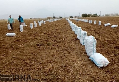 123میلیارد ریال وام کشاورزان سپیدان مشمول بخشودگی سود می شود