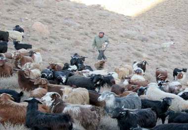 مددجوی بهابادی، کشاورزی روستای زادگاه خود را رونق داد