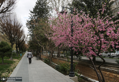 وضعیت سلامتی هوای تهران در سال 1404 چگونه بوده؟