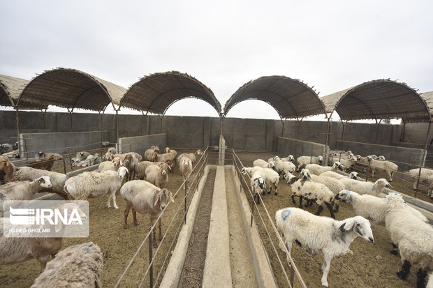 مشارکت صندوق کارآفرینی امید در ۲۸۷ طرح اشتغال روستایی آذربایجان‌غربی