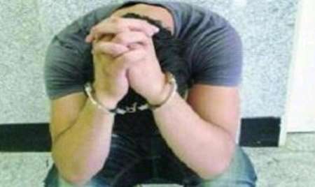 دستگیری سارق سابقه دار در تهران