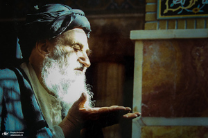 آیت الله العظمی سید‌ شهاب‌ الدین مرعشی‌ نجفی(ره) به روایت تصویر