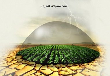 چرا کشاورزان علاقه‌ای به بیمه اراضی ندارند؟
