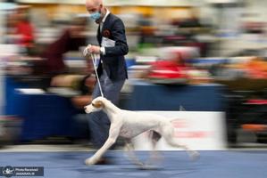 منتخب تصاویر امروز جهان- 8 دی 1400